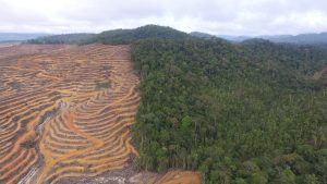 Alam kalimatan yang ter kikis oleh pertambangan