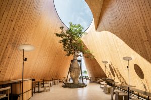Harudot Nana Coffee Roasters
