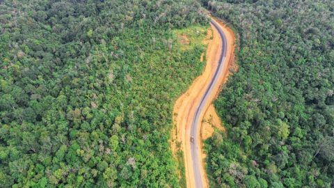 Alam kalimantan yang terkikis oleh pertambangan