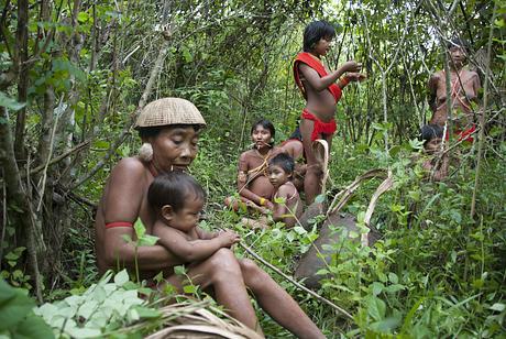 Suku Yanomami Penjaga Tradisi dan Hutan Amazon