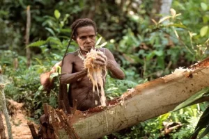 Gaya Hidup Minimalis Orang Papua