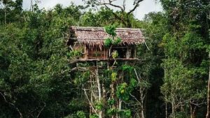 Gaya Hidup Minimalis Orang Papua