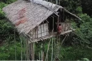 minimalis dalam kehidupan suku pedalaman