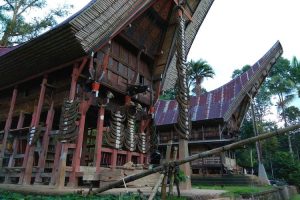 Sisi minimalis rumah toraja