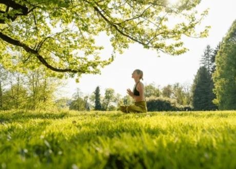 11 Cara Menerapkan Hidup Zen di Tengah Lingkungan Kerja