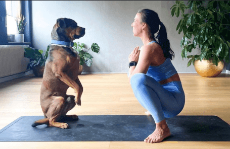 Hidup Ala Zen Bareng Anabul, Cara Sederhana Bikin Hari Lebih Tenang dan Mindful 2 Hidup
